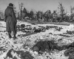 a U.S. soldier views corpses of 84 executed U.S. POWs